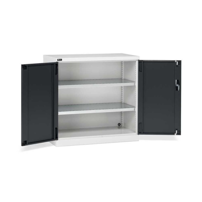 Armoire à portes battantes 1023x555x1000mm, 54x27 EH avec 2 étagères
