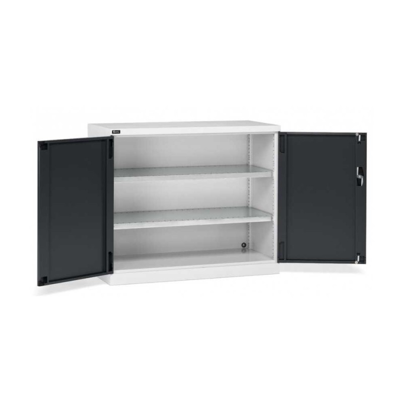 Armoire à portes battantes 1193 x 555 x 1000 mm, 64 x 27 EH avec 2 étagères