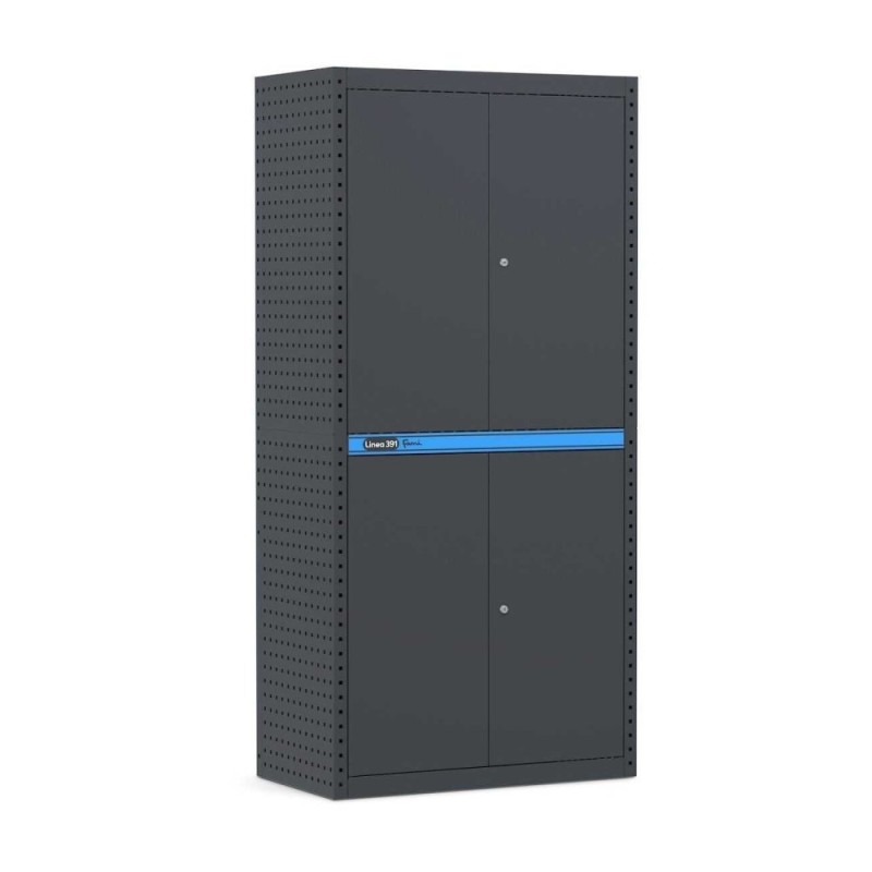 Armoire à portes battantes 912x496x1900 mm