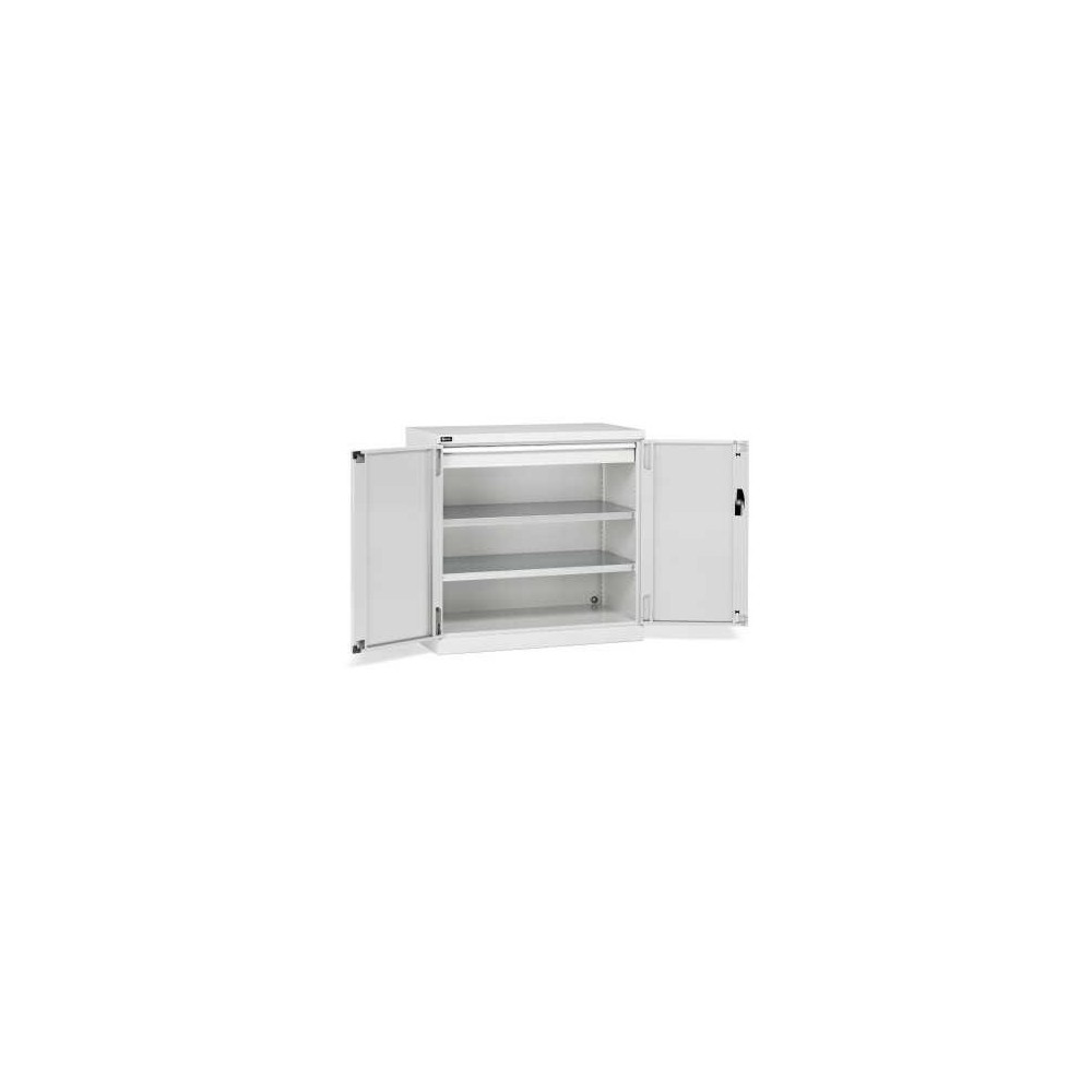 Flügeltürschrank 1023x555x1000mm, 54x27 EH mit 2 Fachböden und 1 Schublade